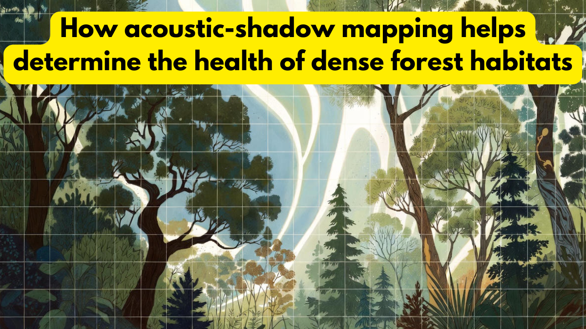 How acoustic-shadow mapping helps determine the health of dense forest habitats