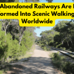 How Abandoned Railways Are Being Transformed Into Scenic Walking Paths Worldwide