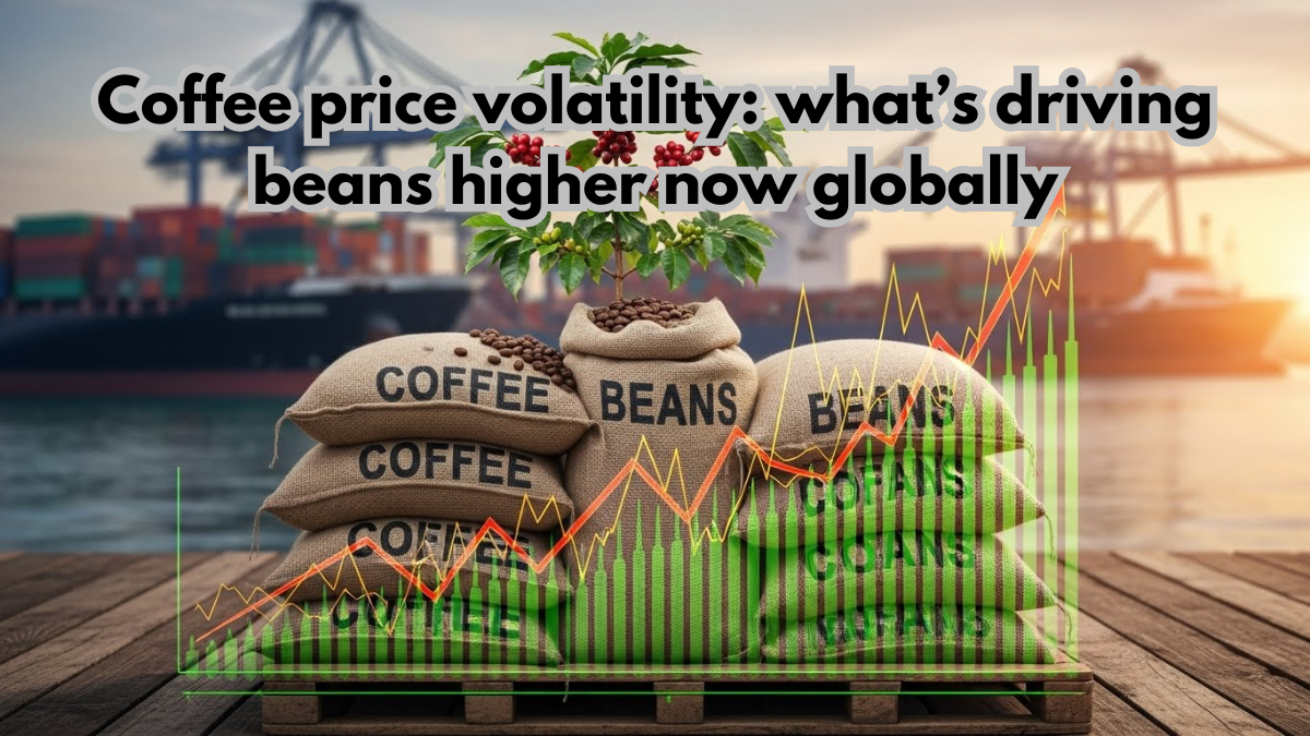 Coffee price volatility: what’s driving beans higher now globally