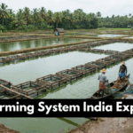Fish Farming System India Explained